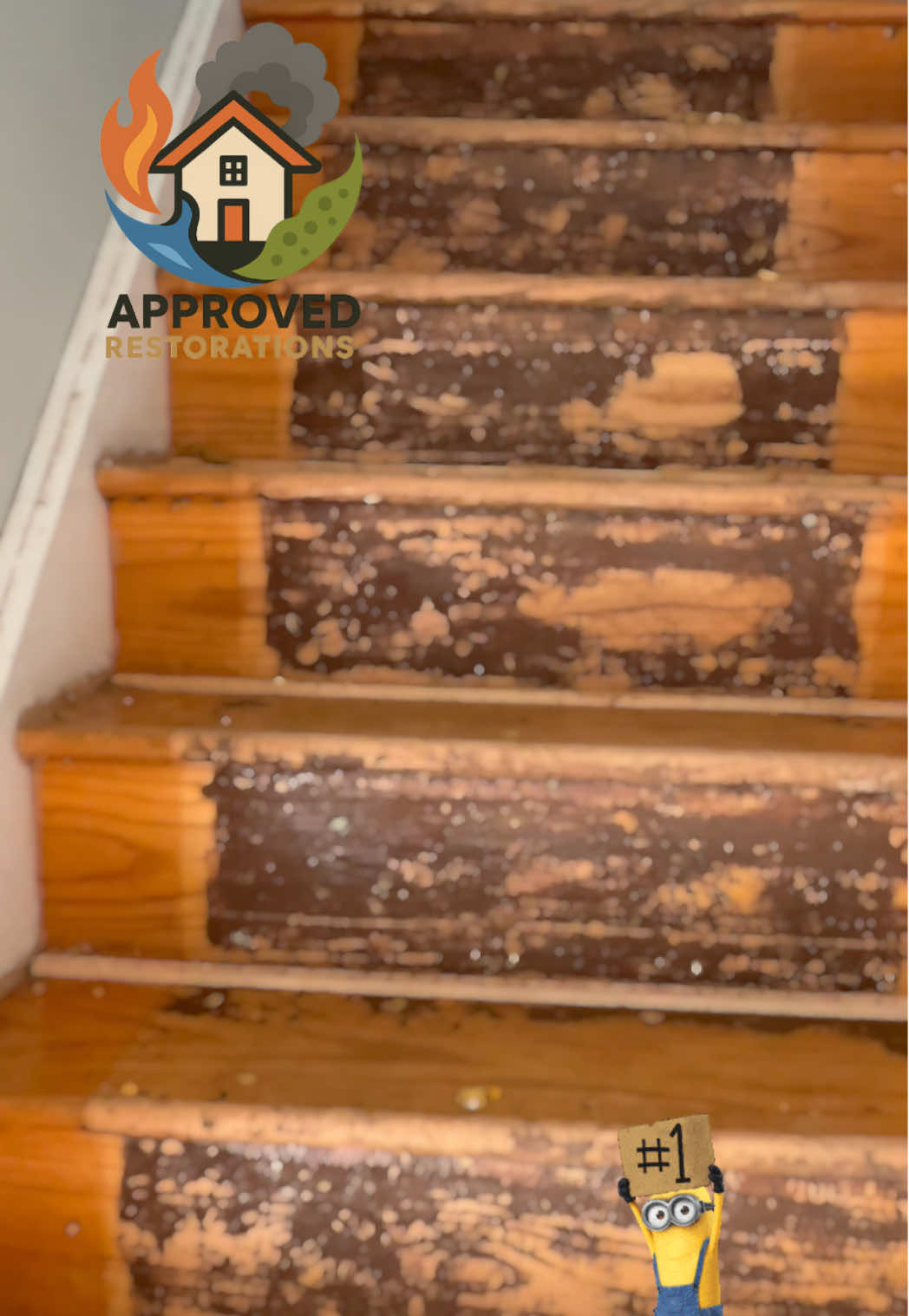 Tackling a full upper-floor remediation and renovation in this Newmarket home, our crew is gutting the main bathroom right down to the bare studs and ceiling joists while stripping baseboards and pulling up flooring across the surrounding bedrooms to prep the entire level for a clean rebuild.