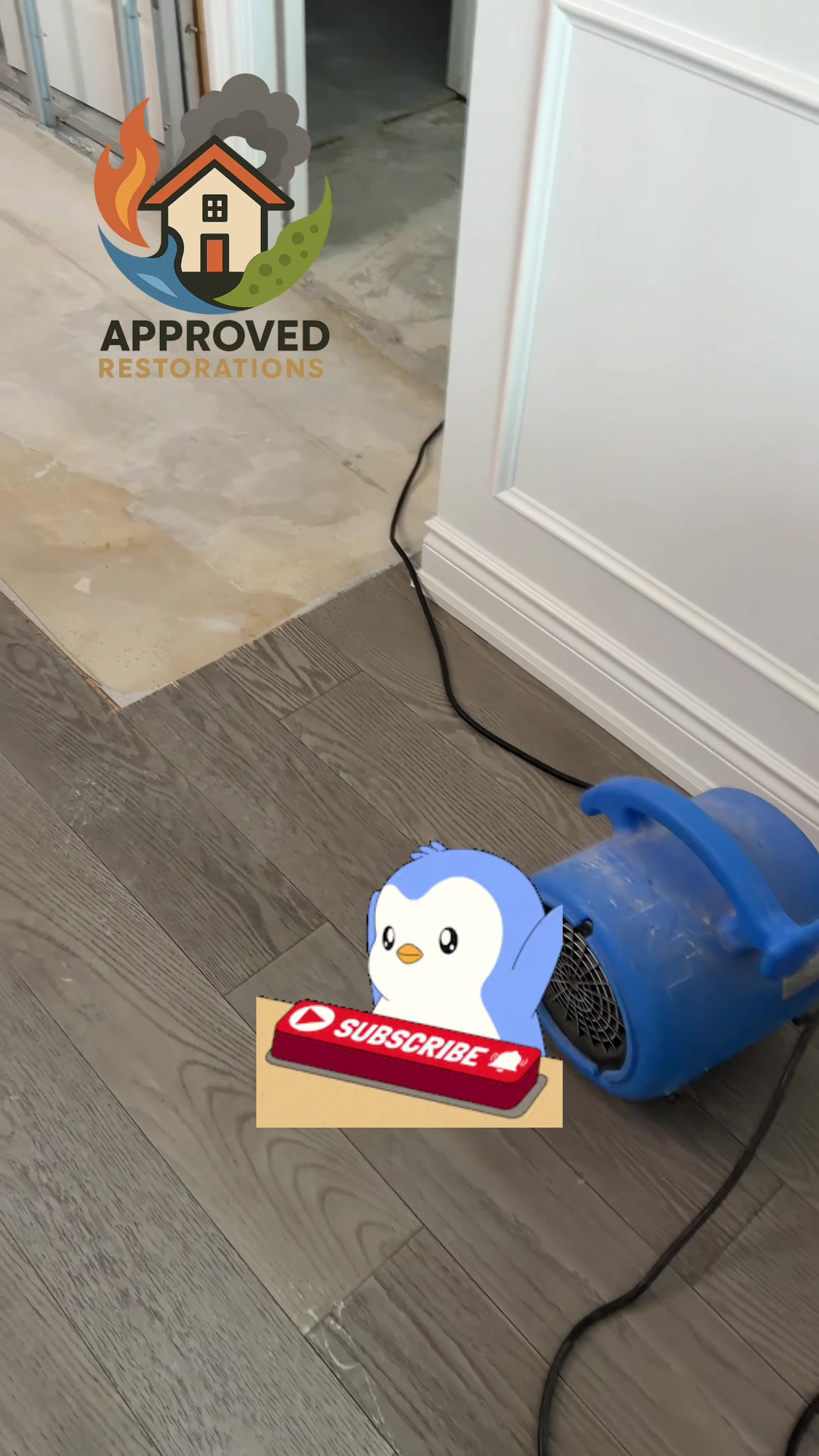 Following severe water damage in this Vaughn condo, our crew has already removed all contaminated materials by stripping the ruined lower drywall down to the metal studs, and we currently have commercial dehumidifiers and air movers deployed to thoroughly dry the bare concrete subfloor before the rebuild.