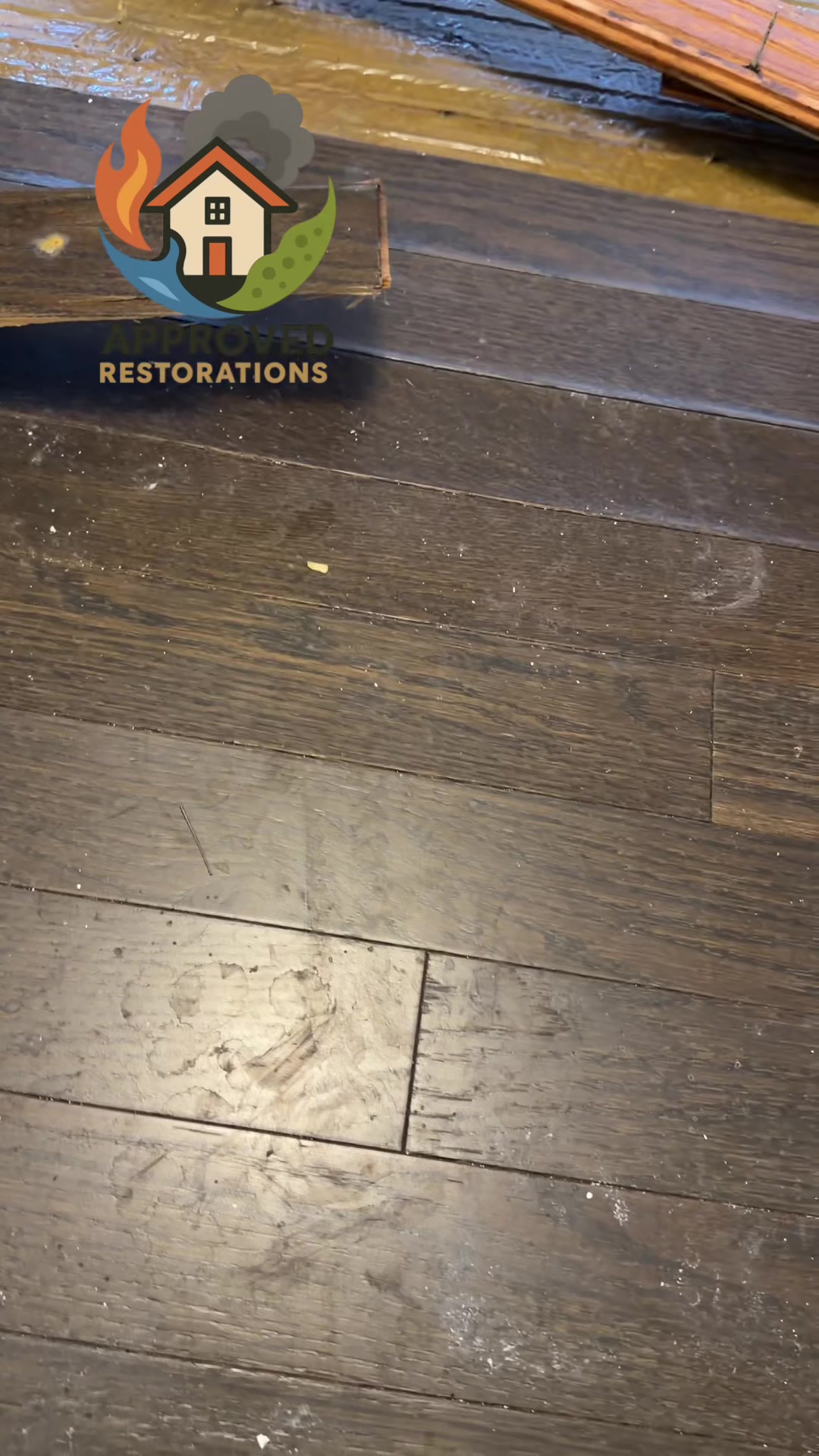 When a roof leak causes water to sit trapped under hardwood floors, it can rot the subfloor and eat away at the wood, so our team carefully pulls up the planks to reveal the hidden damage and prevent mold from taking hold.