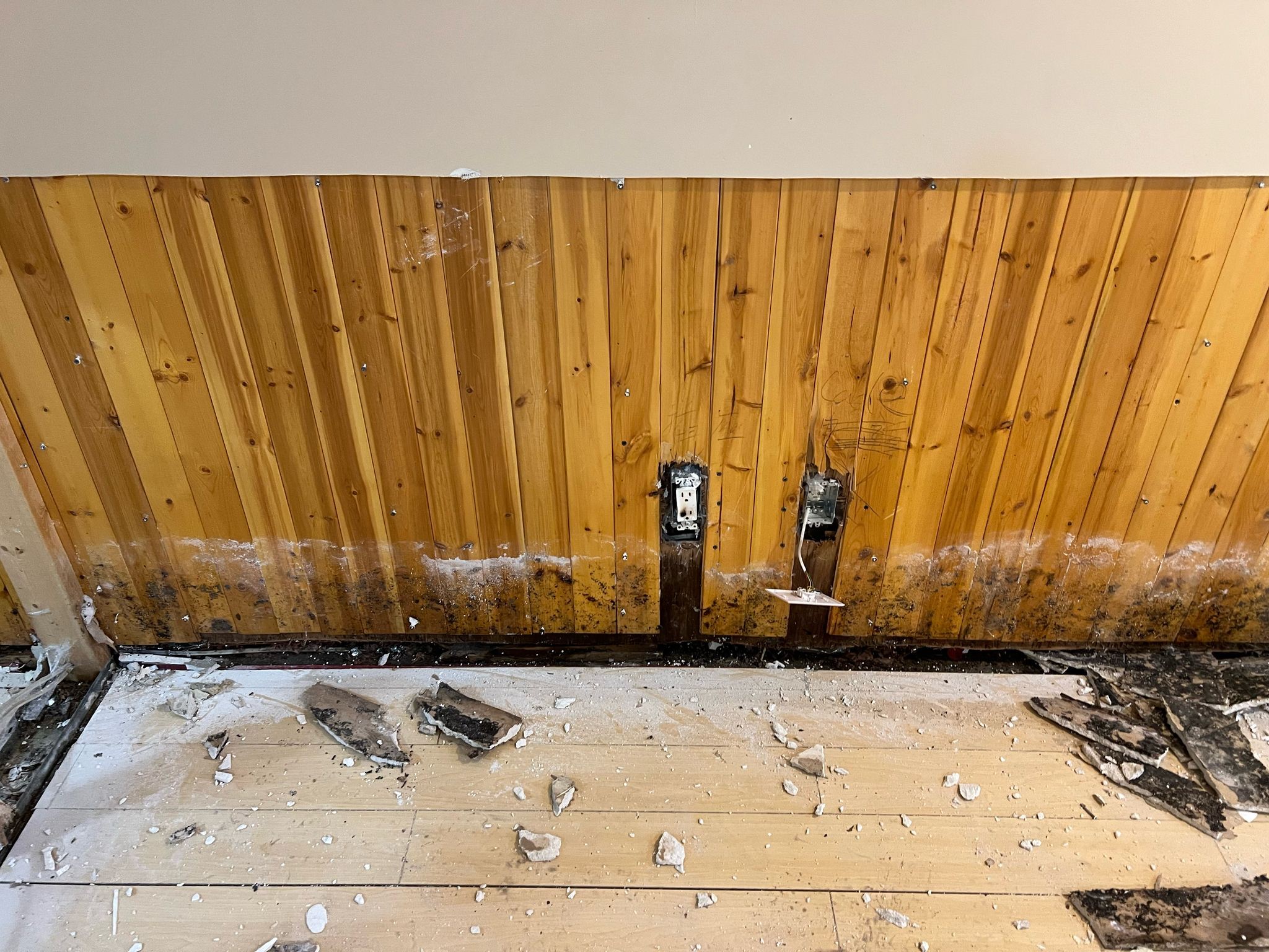 Basement mold before remediation